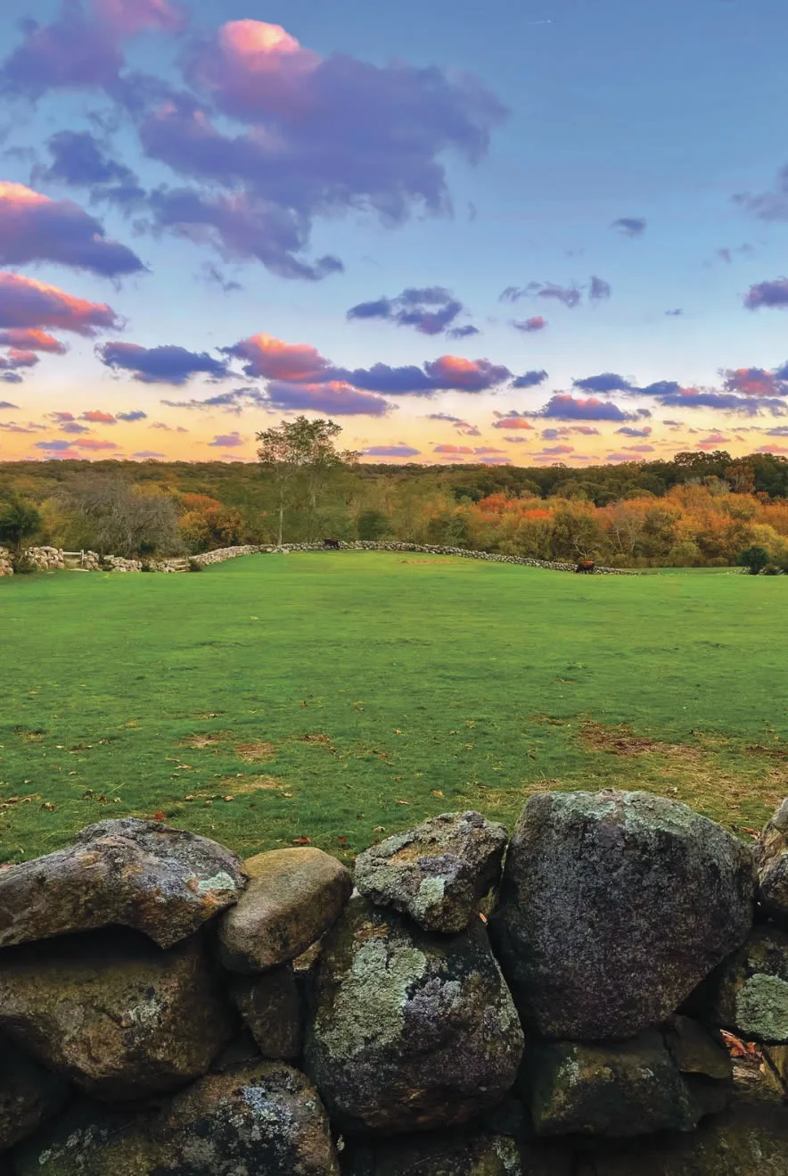 Chilmark stone wall and autumn pasture at sunset — the quieter Up-Island path